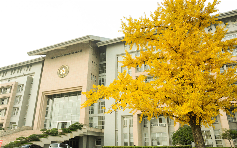郑州大学（郑大）211建设高校